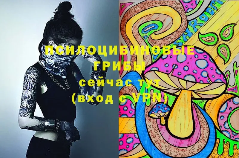 omg   Прокопьевск  Галлюциногенные грибы Magic Shrooms  купить  цена 